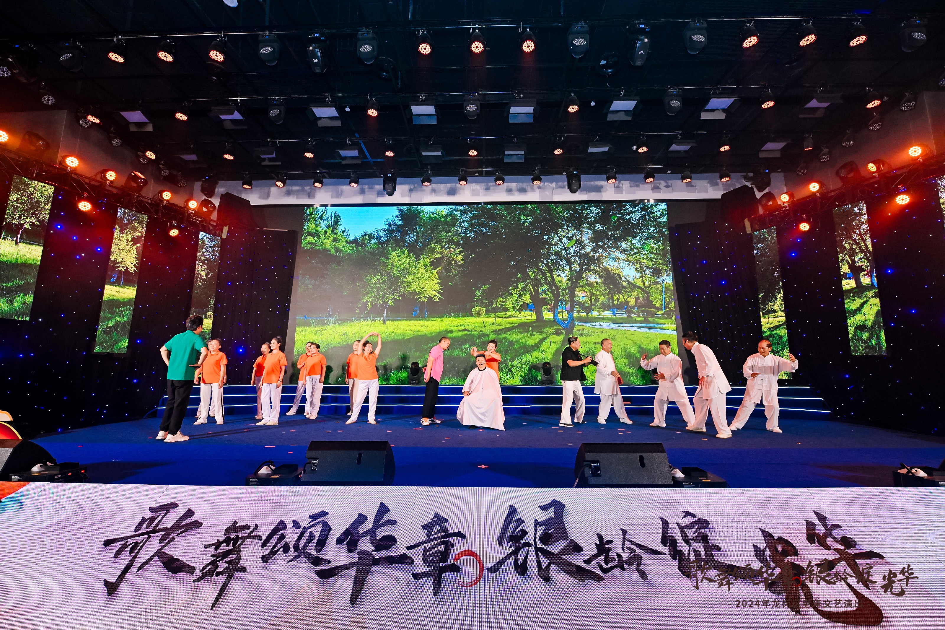 老年文艺演出补充现场图片 3