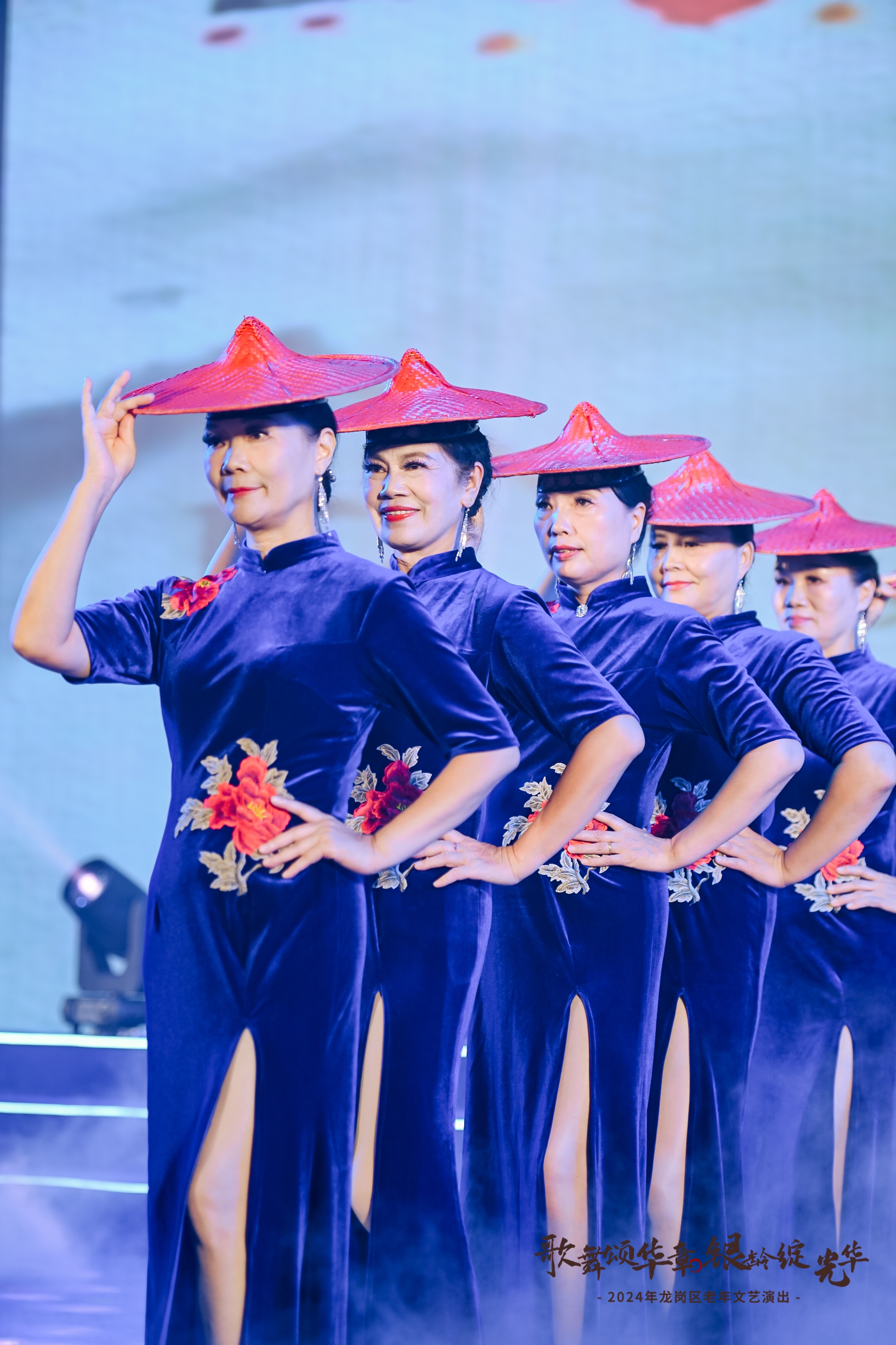 老年文艺演出补充现场图片 5