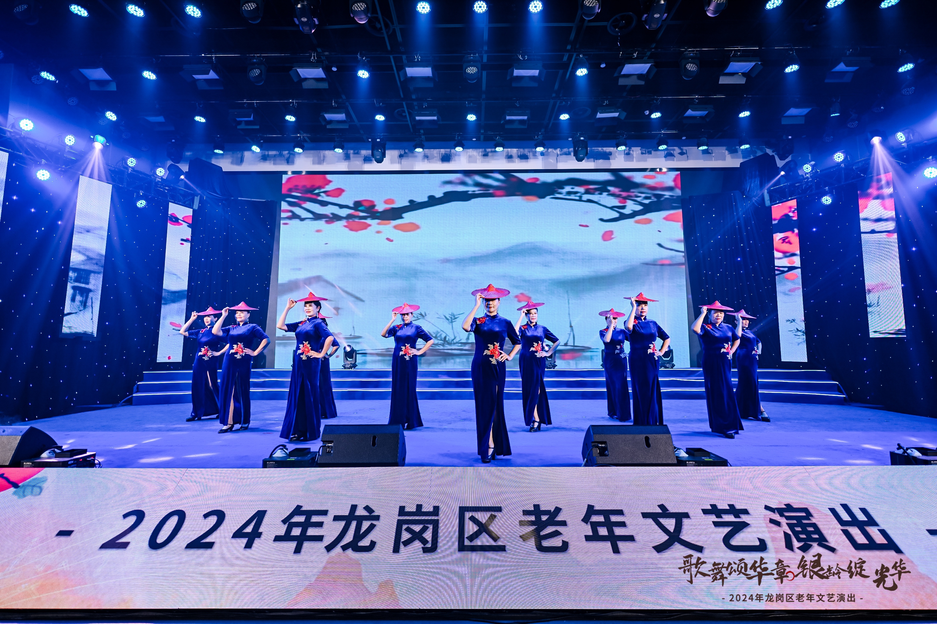 老年文艺演出补充现场图片 12