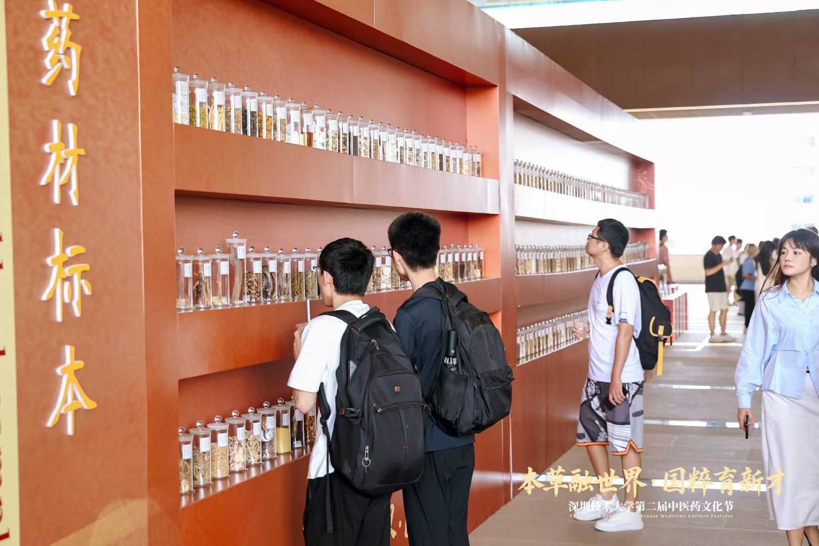 深圳技术大学中医药文化节补充现场图片 3