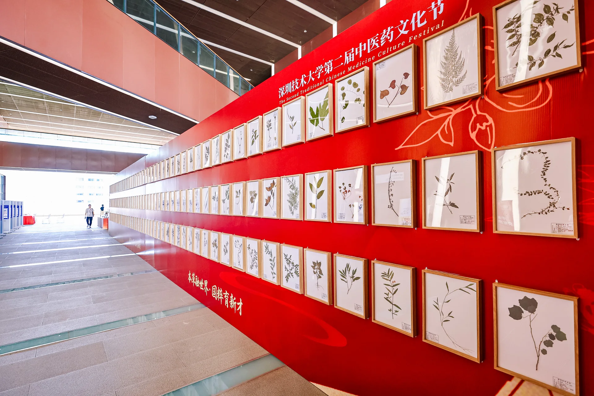 深圳技术大学中医药文化节现场图片 3