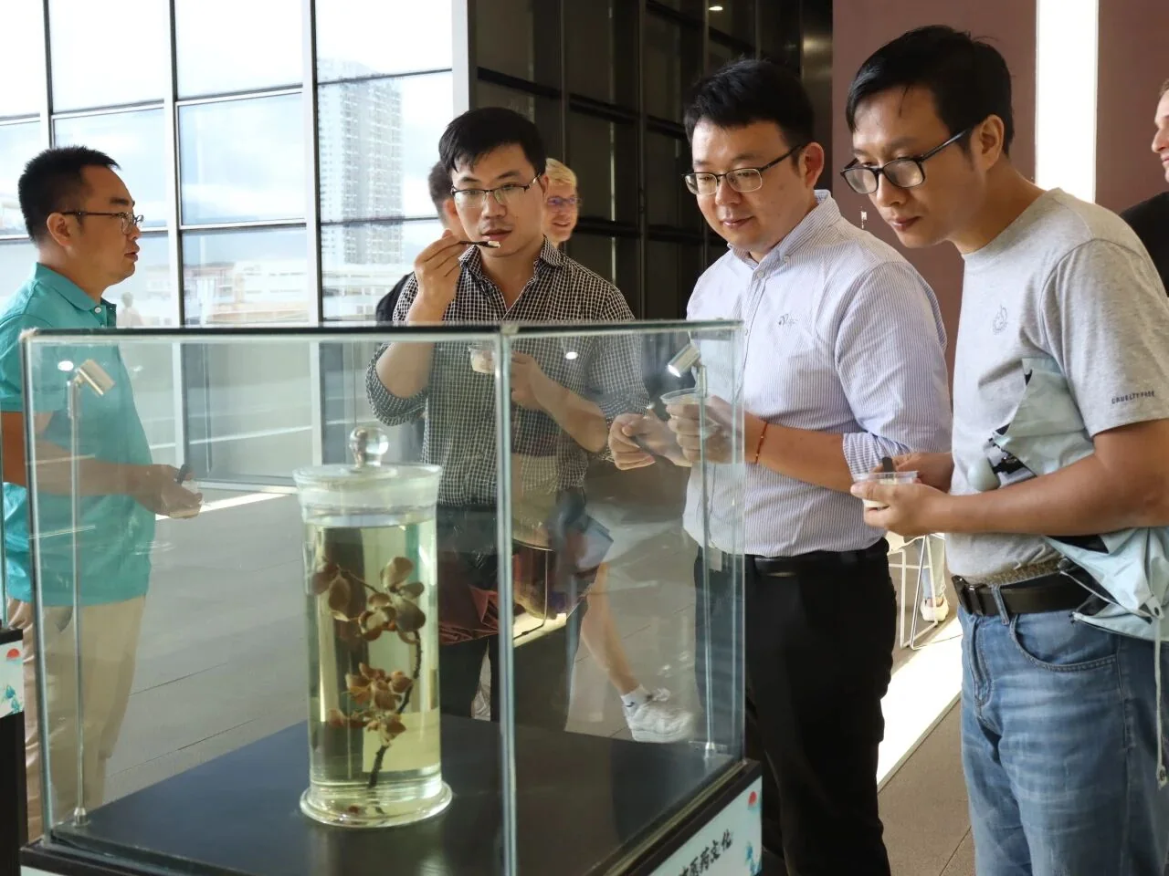 深圳技术大学中医药文化节现场图片 5