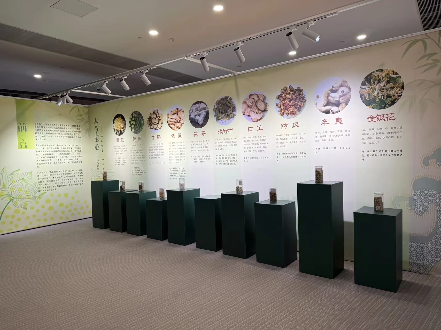中药廉洁文化与二十四节气主题展项目封面